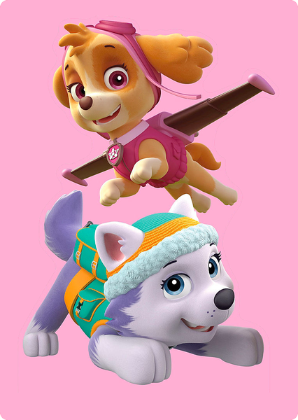 paw-patrol